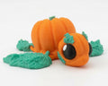 Pumpkin Turtle